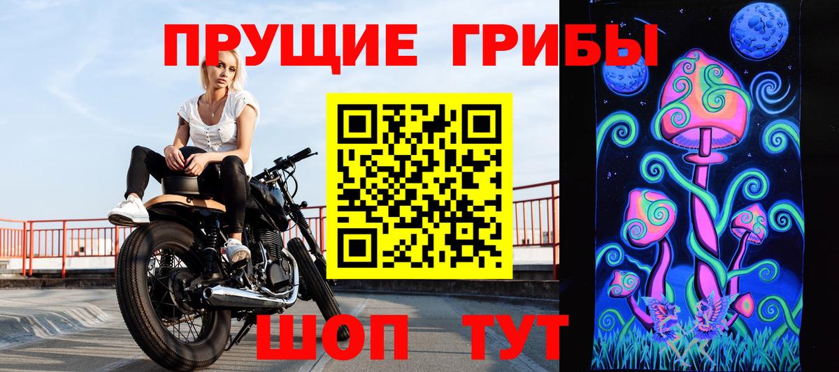Галлюциногенные грибы GOLDEN TEACHER  Вход с VPN  Мичуринск 