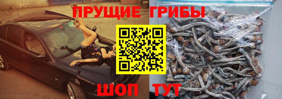 Галлюциногенные грибы мухоморы Мичуринск